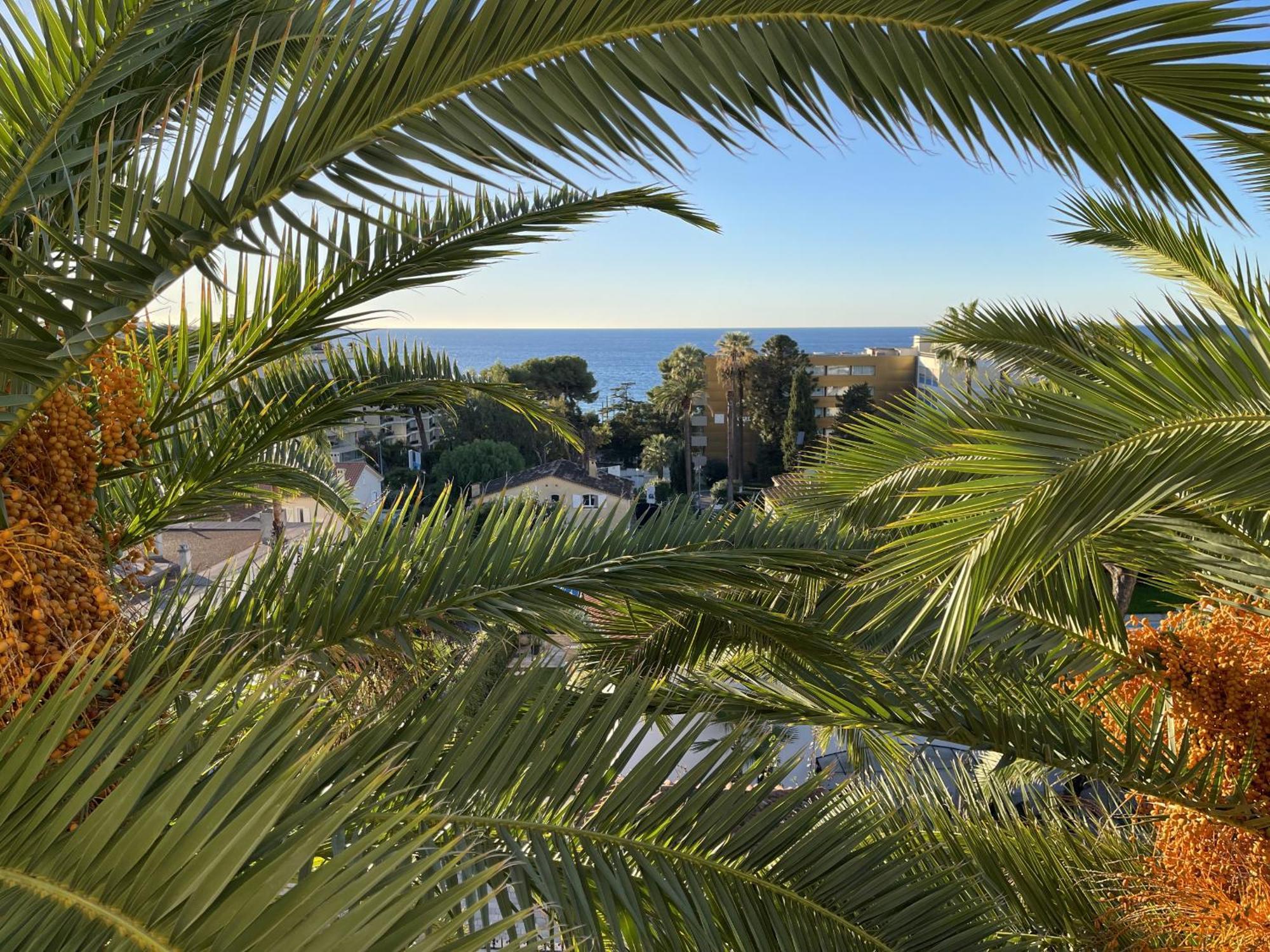 Appartement Vaste 4p Bord De Mer, Terrasse, Piscine 263l Dilli Cannes